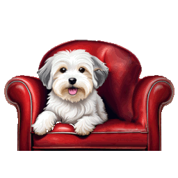 Hektor auf dem Sofa